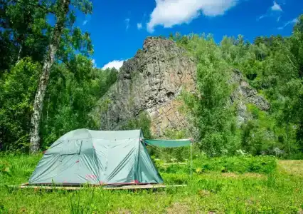 Таёжник - 2