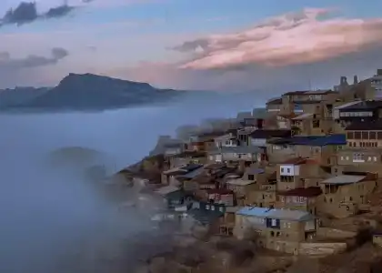 у тёти Ханий - 2