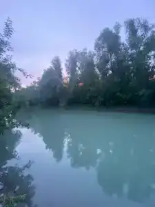 У Ручья - 19