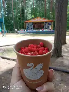 ЗиД - 13
