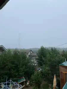Незабудка - 39