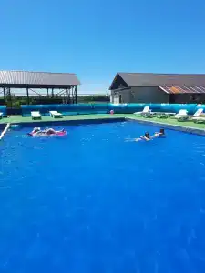 Каштан - 41
