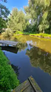 У Борисыча - 65