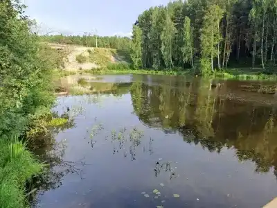 Руш - 24