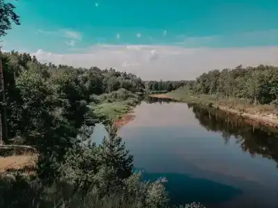 В гостях у Лешего - 69