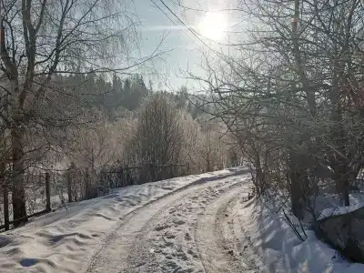 Ясные пни - 18