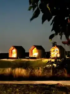 Фридом Веселовка - 8