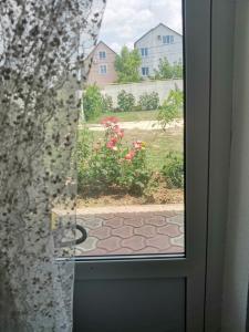 Лонисера - 24