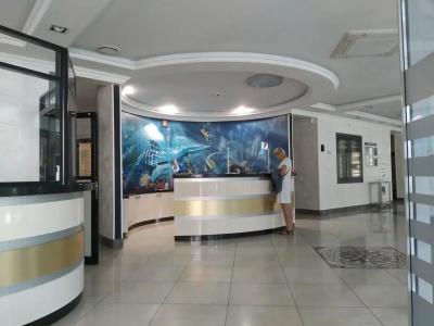 Надзея - 6