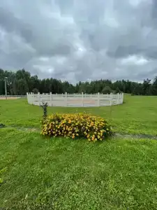 Конный Двор в Пржевальском - 20