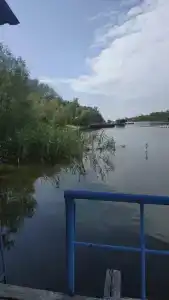 Бодрость - 78