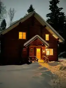 Лесной Дом - 2