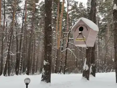 Берендей - 40