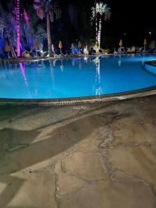 Papouis Protaras ex smartline Protaras - 3