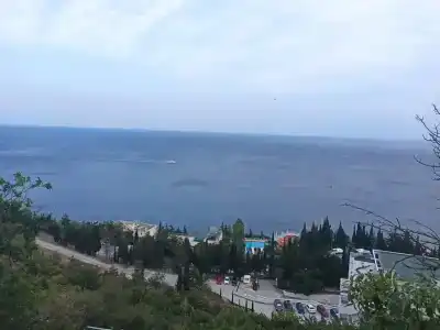 Олива - 2