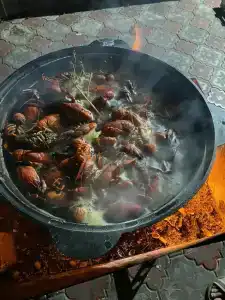 Созвездие - 24