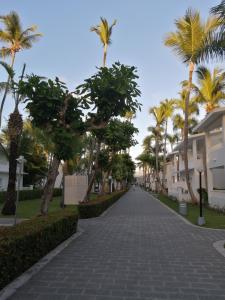 Riu Bambu - 15