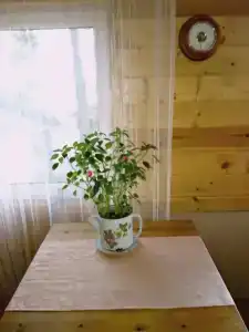 Валерина Усадьба - 11