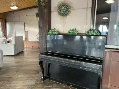 Полёт - 38