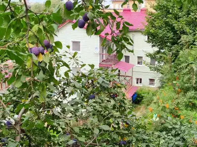 Студии на Гражданской - 66