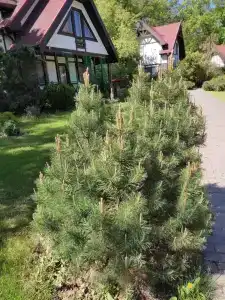 Марафон - 18