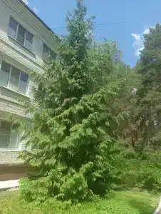 Звездный - 28