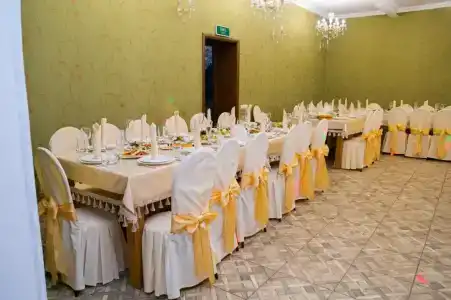 Елки - 1