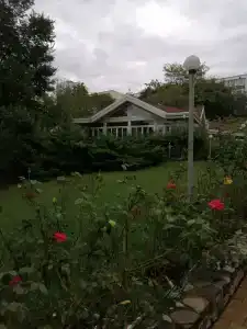 Фламинго - 37