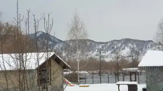 Три А - 18