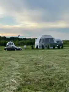 Ферма-Цыпа's - 54