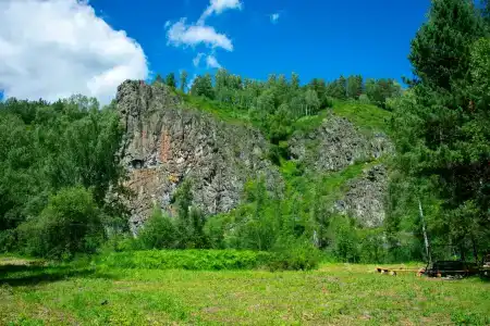 Таёжник - 6
