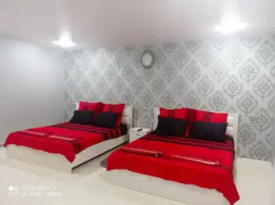 Лира - 8