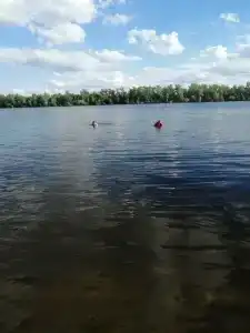 Чардым-Дубрава - 38