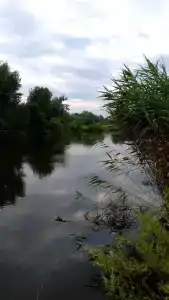База отдыха у Викторовича - 58