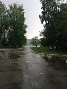 Ивушка - 28
