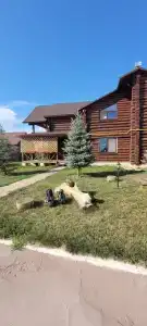 Каштан - 30