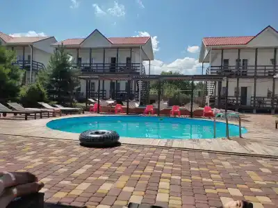 Совы - 33