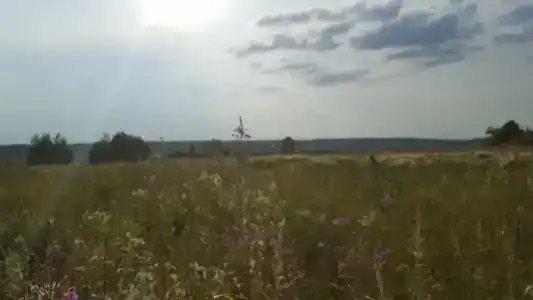 Благодать - 33