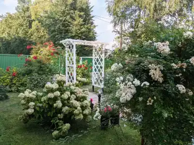 Тихая Гавань - 88