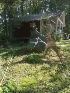 Иволга - 1