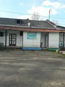 Веста - 11