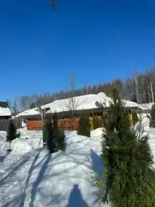 Подмосковный домик - 99