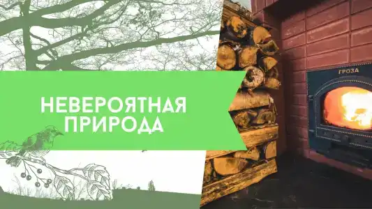 СахПарма - 3
