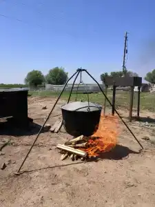 Сазанья бухта - 4