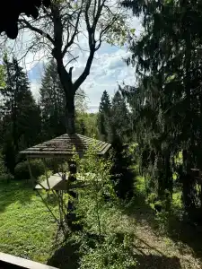 Елизарово - 52