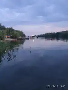 Бодрость - 58