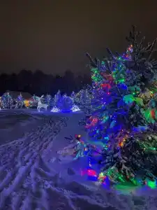 Фэмили Дача - 18