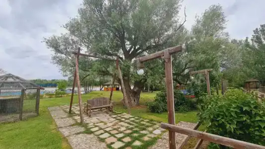 Розовый Фламинго - 25