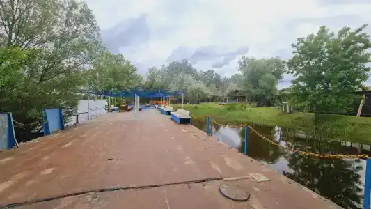 Розовый Фламинго - 5