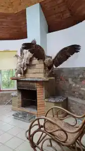 Розовый Фламинго - 15